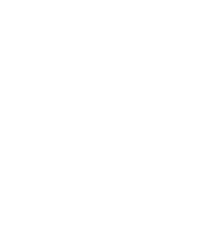 How does// it work?
